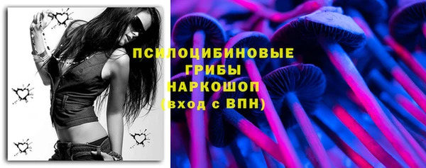 ешки Слюдянка