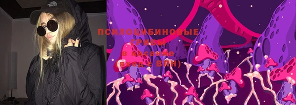 PSILOCYBIN Абинск