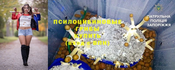 PSILOCYBIN Абинск