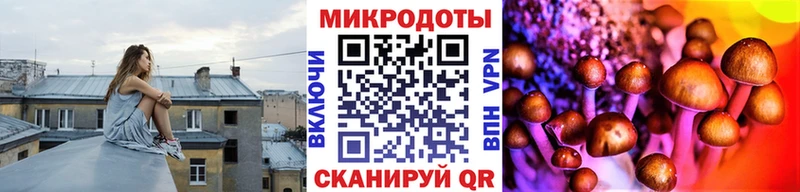 кракен tor  Тында  Галлюциногенные грибы Psilocybe 
